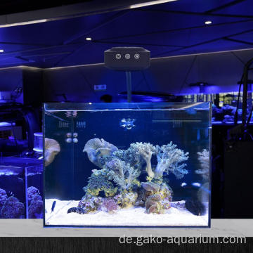 Lichter für gepflanztes Aquarium